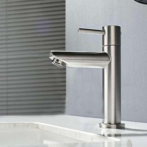 Decaura Kaltwasserhahn Gäste WC Wasserhahn Bad nur Kaltwasser Einhebelmischer Waschbecken Armatur Waschtischarmatur Edelstahl Gebürstet