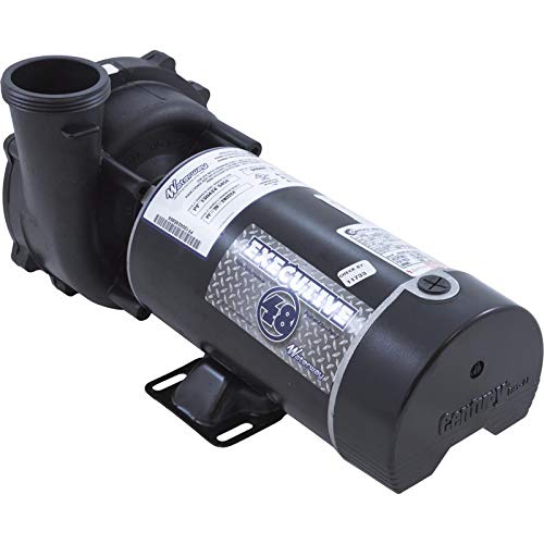 Waterway Plastics 3420820-1A Pump, 230V #TOP5