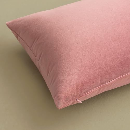 Image of MIULEE Velvet Throw Pillow Covers 16x16 Inch, Pack of 2 - Dusty Pink, Soft Solid Decorative Pillow Covers Cushion Cases Modern Luxury Home Decor for Spring Couch Sofa Bedroom Livingroom