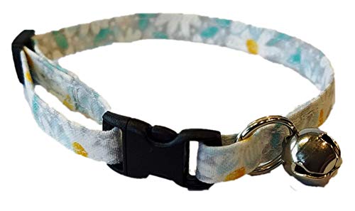 Daisy cat collar Clearance