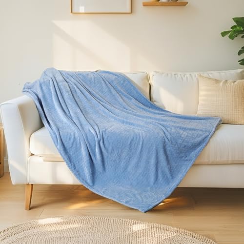 RALYSUN Throw Blanket for Couch & Bed, Premium Silky Flannel Cozy Blanket 60x80 inches, Super Soft Lightweight Warm Bed Blanket Winter, Travel Camping Room Decor, Blue Jade