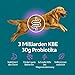 Protum Probiotische Hundepaste 30ml – Präbiotika & Probiotika für Hunde zur Stabilisierung der Darmflora, Unterstützung des Verdauungssystems, schneller Hilfe bei Durchfall Hund für mehr Wohlbefinden