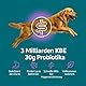 Zanipro Probiotische und Präbiotische Paste für Hunde und Katzen Gegen Durchfall Wurmkur, 3 Milliarden Lebende Keime Probiotika, Darmkur, Darmsanierung - Festigung des Kots (30ml) Rindfleisch