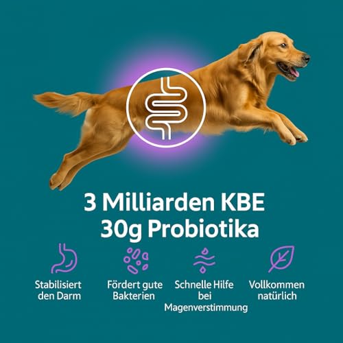 Protum Probiotische Hundepaste 30ml – Präbiotika & Probiotika für Hunde zur Stabilisierung der Darmflora, Unterstützung des Verdauungssystems, schneller Hilfe bei Durchfall Hund für mehr Wohlbefinden