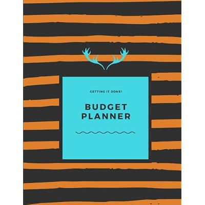 Budget Planner: Finance Monthly & Weekly Budget Planner Expense Tracker Bill Organizer Journal Notebook | Monthly Budget book| ... Workbook