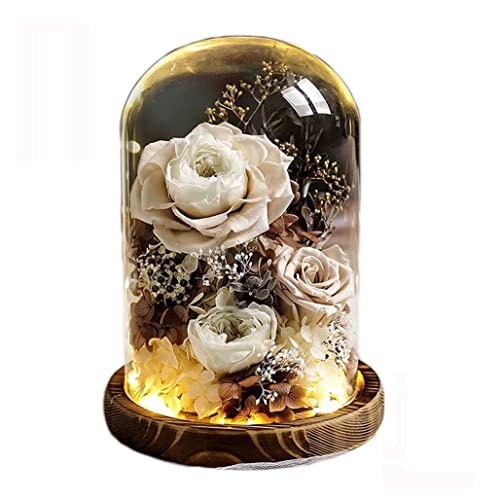 vU[uht[ j KX|bg KN hCt[ o ͂Ȃ t[Mtg v[g Mtg{bNX 񂰑 bZ[WJ[h T[rX P[X ỉ LEDCgt N JXj ̓ LO a N