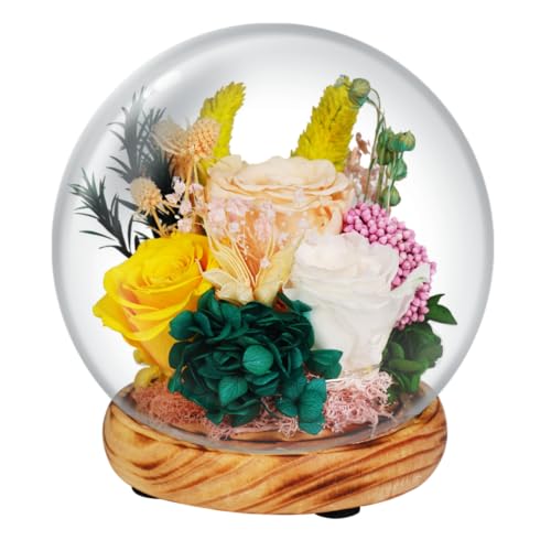 RwalkinZFleurs Valentines Day Gifts for Her Preserved Flowers Lon...