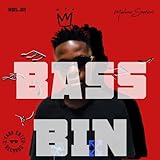 bass bin design and measurements  BASS BIN