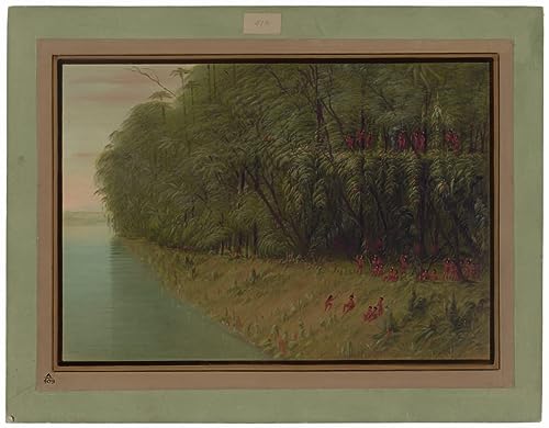 Décoration chambre forêt George Catlin tableau vintage inspirant l'évasion naturelle