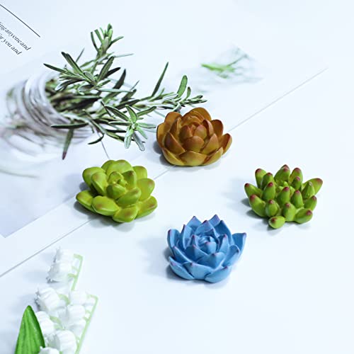 Imanes decorativos de resina con diseño de plantas suculentas, set de 8 miniatura 2