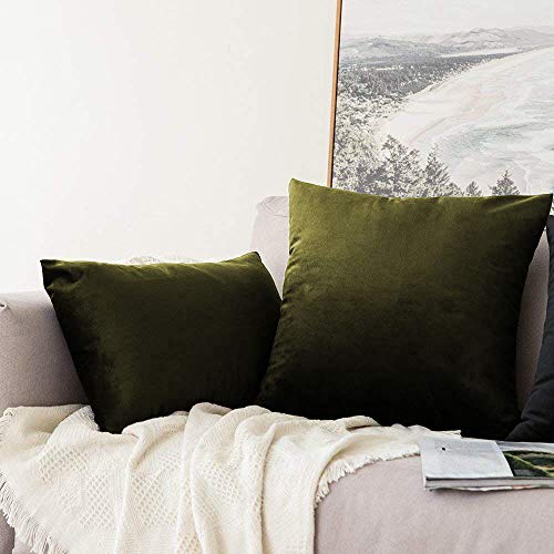 Image of Khooti Velvet Cushion Cover Pack of 1-12 inch x 20 inch / 30 x 51 cm - Mehandi - Soft Pillow Covers Cushion Case for Sofa Bedroom Livingroom Chair Car, Cushion Cover