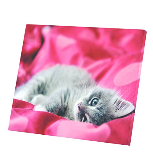 Tableau chat mignon en toile imprimée 71x60 cm pour décoration