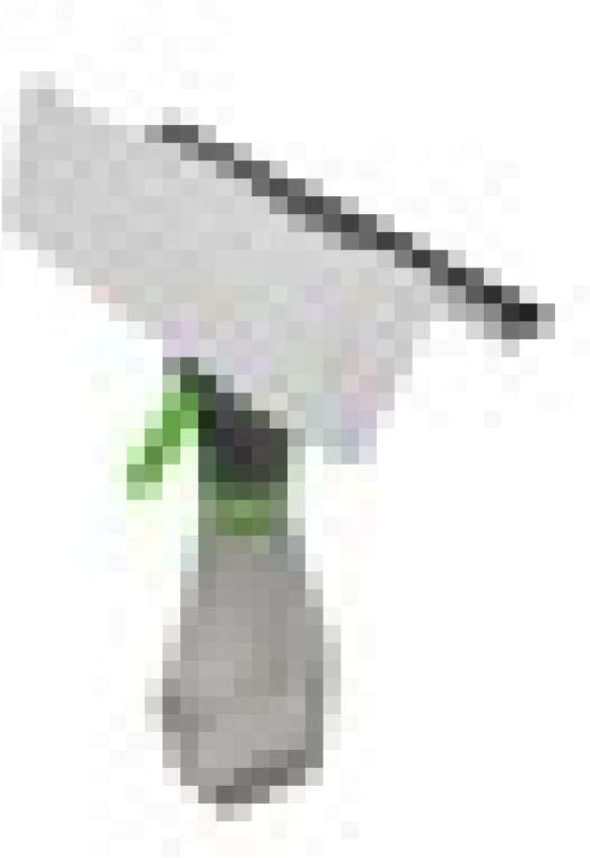 WHFDQJS 3 in 1 Cleaning Brush Multipurpose Household Window Lock Front