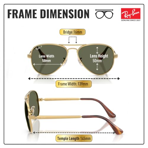 Image of Ray-Ban RB3925 AVIATOR MAX Pilot Sunglasses with Official Eyewear Kit