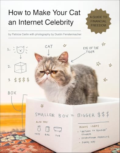 How to Make Your Cat an Internet Celebrity: A Guide to Financial Freedom