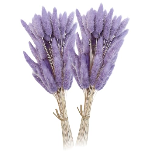 120 Piezas de Hierba de la Pampa, 50 cm, Lavanda Seca, Colas de Conejo, Flores secas para decoración de casa de Campo, Dormitorio, Mesa, Boda.