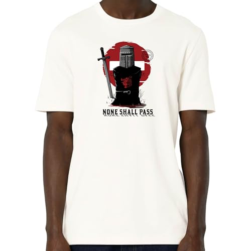 Tee Shirt You Shall Not Pass - Tortue géniale Parodie Gandalf - T-Shirt Homme Bio Noir (L)