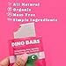 Dino Bars | Organic Fruit Bar for Kids | Organic Toddler Bars and Dinosaur Snacks | Fruit + Oats + Hemp Hearts with Edible Paper (12 Pack Try Them All)