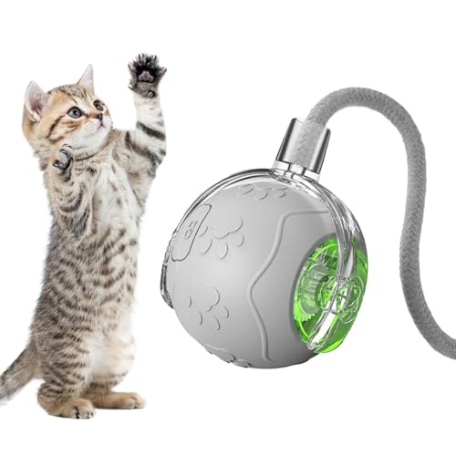 L   L ߋ d {[ L d lC ^ lV lR ߋ Lp̔L̂̃{[ Oe[eB[U[t USB [dt 360 x][O {[ Ŏ{\h ^sƃXgX