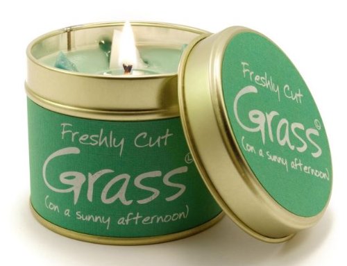 Lily FlameScented Candle in a presentation Tin - Freshly Cut Grass