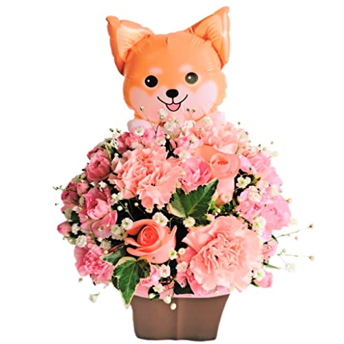 y ԋE{Xz t[Mtg IWi  t[AWg  Mtg a  w ̓  AW җ LO ̓ ̓ NX}X \ v[g j   hV̓ 蕨 (Fo[t