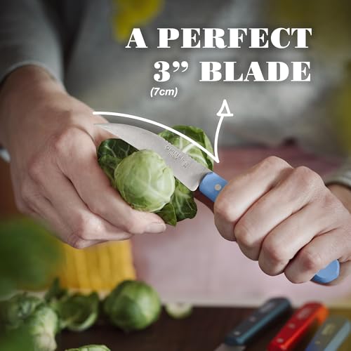 Opinel Gemüsemesser N°114 Blau, Griff aus lackiertem Weißbuchenholz, Klinge aus Edelstahl, 10000932