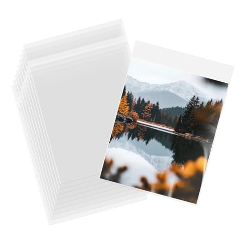 Pochettes de protection de photos pour organiser vos souvenirs de famille