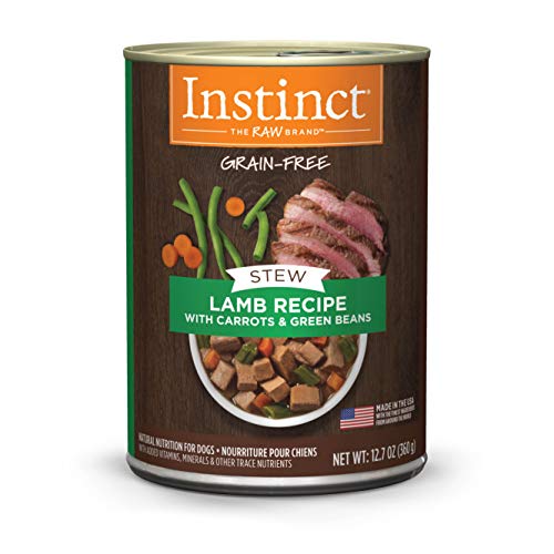 The Best Dog Food For Dobermans Top 10 Most Nutritious in 2022