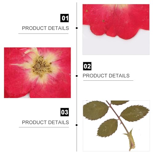 Kit de Flores de Rosa Secas para Manualidades, 12 piezas miniatura 3