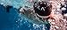 R1 Goggle Anti-Fog Swim Goggles with RAPIDSIGHT Razor Sharp Optics - Amber Mirror