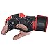 Combat Sports Pro Style MMA Gloves