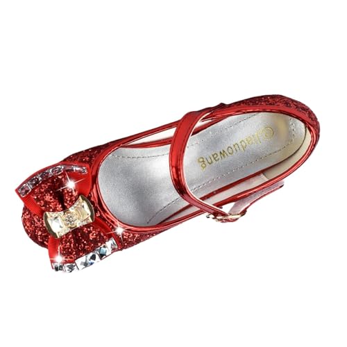 Girls Princess Shoes Dance Trainers, Mary Jane Low Heel Performance Dress Shoes, Elegant Sandals3