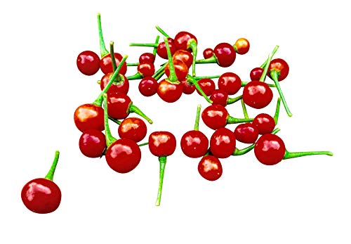 Aji Charapita Rosso 10 Semi -Peperoncino Charapita rosso raro