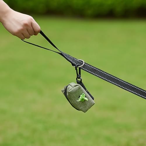 Dog Walk with Reflective Leash in Use