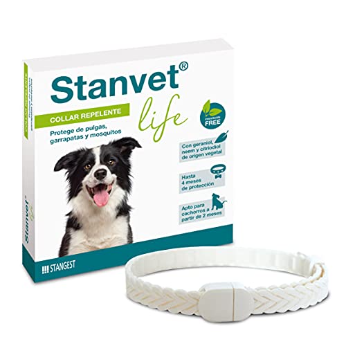 Stangest Collar Stanvet Life 1Ud 1 Unidad 200 g