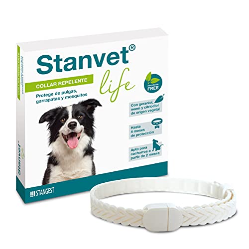 Stangest Collar Stanvet Life para Perros Premium | Repelente de Insectos | Protege de Garrapas, Pulgas y Mosquitos | Sin Insecticidas | Resistente al Agua | Activos Vegetales | 60cm