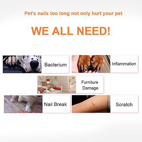 Fdit Pet Nagelschere, Cat Claw Scissors Nagelknipser Claw Clamps Praktisches Nagelschneidewerkzeug für Hunde und Katzen Pet Salon, Ideale Geschenkauswahl (Schwarz)