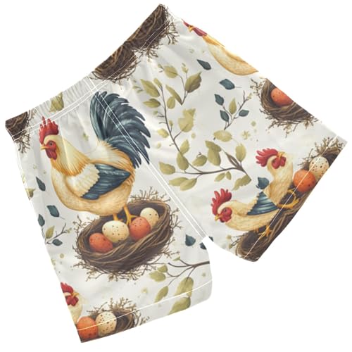 Pigsaly Boys Swim Trunks Chicken Rooster Eggs Boys Board Shorts Swimsuit Swimwear Summer Bathing Suit 2T Multicolor2