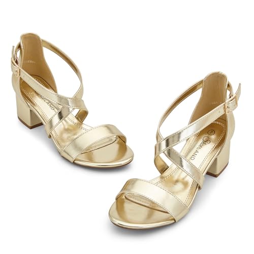 Image of Shoe Land SL-LESSA Women's Low Heels Open Toe Dress Heeled Sandals Cross Ankle Strap Chunky Block Short Heel Pumps Shoes for Office Prom Wedding Party