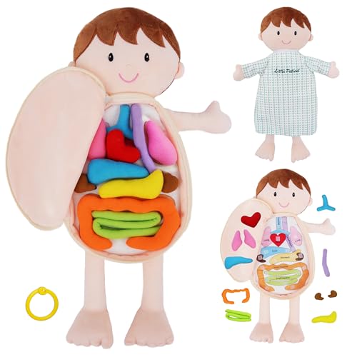 June Garden Little Patient Lucas Plush Anatomy Doll - Soft Educational Toy with Removable Human Organs - Learn Basic Anatomy for Toddlers and Kids