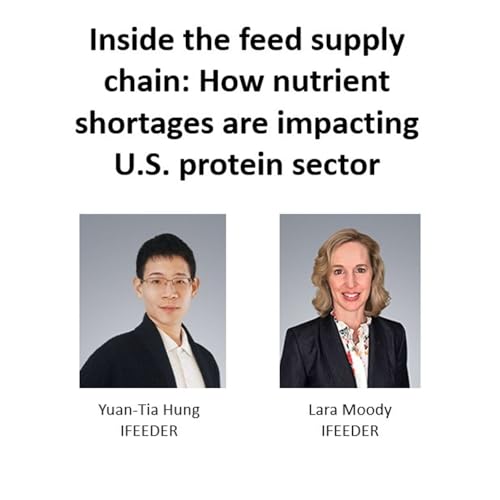 Inside the feed supply chain: How nutrient shortages are impacting U.S. protein sector