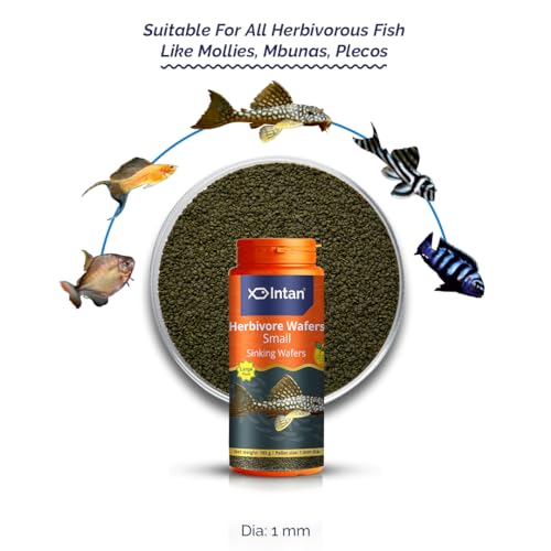 Image of Intan Herbivore Wafers (Small 1mm Sinking) | 185gm - Highly Nutritious Ornamental Fish Food for Herbivorous Fish - Mollies, Mbunas & Plecos | Growel Feeds