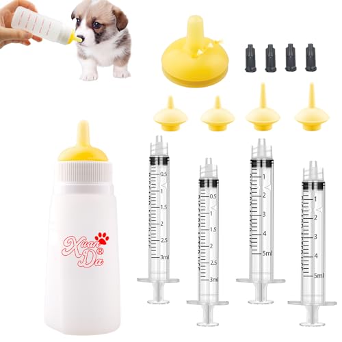 Xuanda Kitten Feeding Bottle Kit