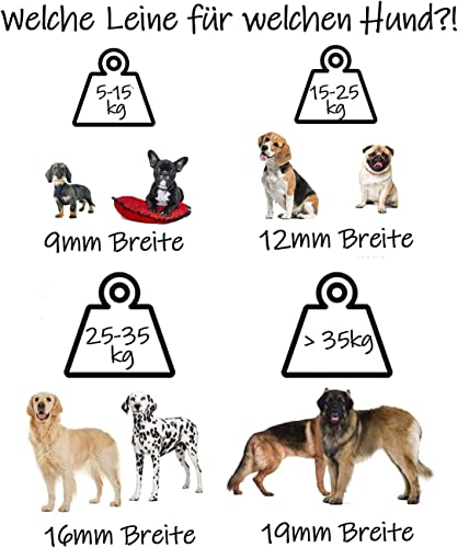 bio-leine Biothane Schleppleine 12mm 1-20m - mit/ohne Handschlaufe für kleine bis mittlere Hunde 15-25kg | schmutz- und Wasserabweisende Hundeleine I individuell anpassbar - 30 Farben