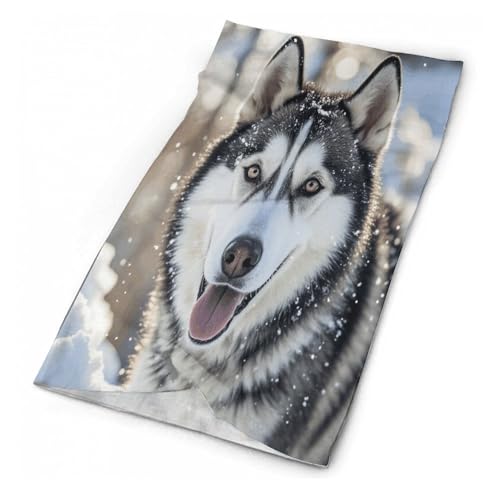Fulares para mujer de ciclismo y correr braga de cuello transpirable perro en la nieve para invierno