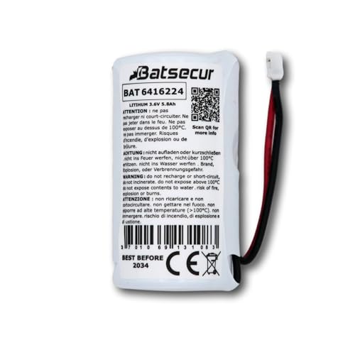 BATSÉCUR - Pile Alarme BAT6416224 Compatible avec 6416224 Delta Dore, WILPA2471A pour DMBV TYXAL+ - 3.6V 5.8Ah Li-SOCl2