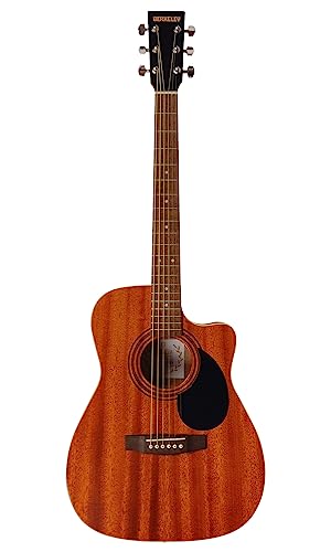 Berkeley ELEMENTARY-M-OP RT[g {fB Jb^EFC AR[XeBbN M^[