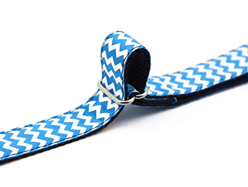 Big Smile Paw Nylon Dog Collar Adjustable,Heavy Duty Dog Collar With Metal Buckle (L, Blue) #TOP5