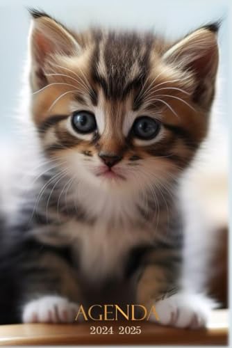 Agenda scolaire 2024 2025 chat: Chaton Pour fille, garçon | CP - CE1 - CE2 - CM1 - CM2 | Organisateur et Planificateur Journalier avec Heure | 1 Jour Par Page