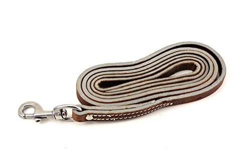 Leerburg Amish Leather Leash, 6' Long 1/2" Wide, Brown w/Stainless Steel Hardware
